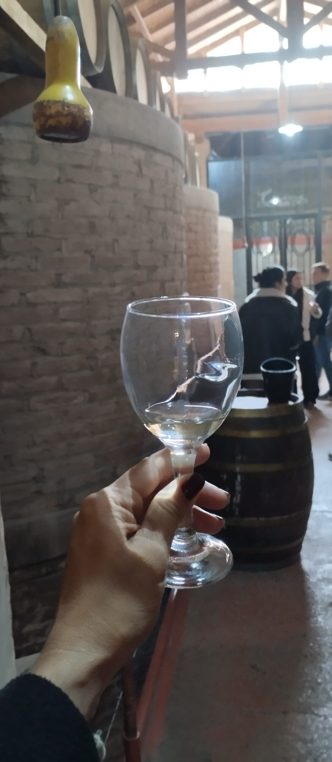 ROXANA Y SU DIA DE BODEGAS